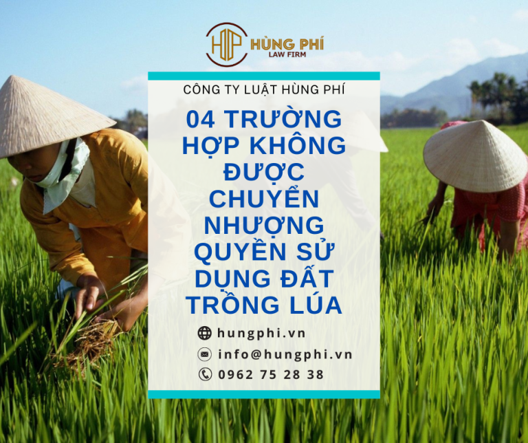 04 trường hợp không được chuyển nhượng qsdđ tồng lúa