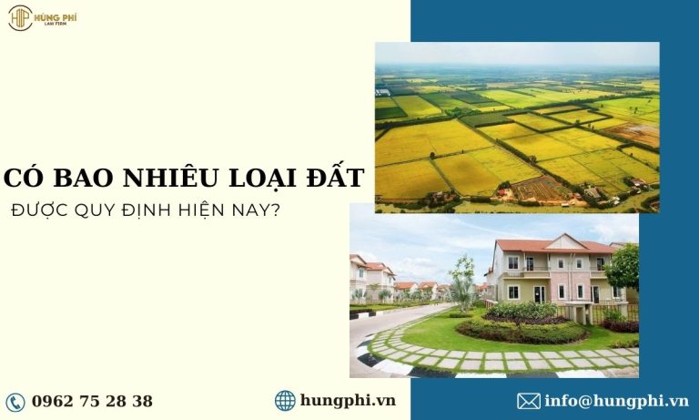 có bao nhiêu loại đất