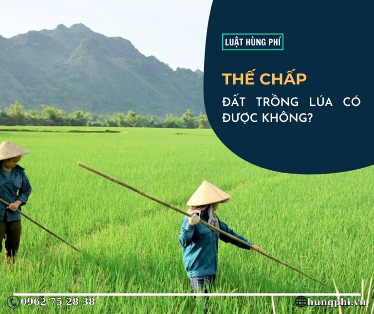 thế chấp đất trồng lúa