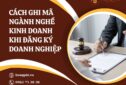 Cách ghi mã ngành nghề kinh doanh khi đăng ký doanh nghiệp
