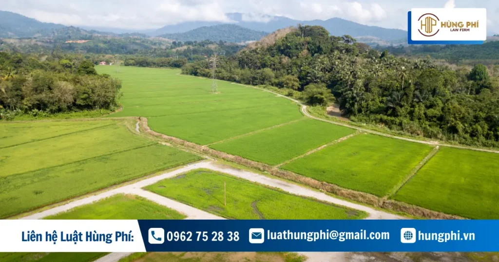 Từ 1/1/2026, giảm 70% tiền chuyển đất nông nghiệp lên thổ cư